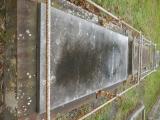 image of grave number 759956